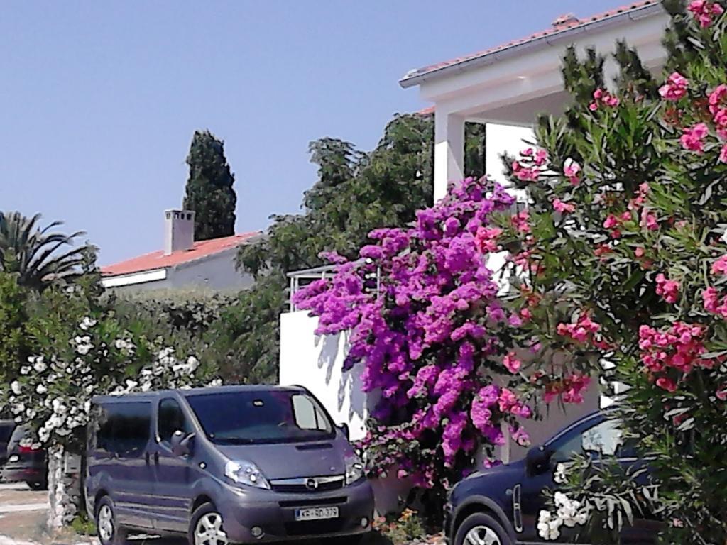 Apartment Sanja Petrčane Exterior foto